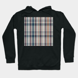 Autumn Aesthetic Catriona 1 Hand Drawn Textured Plaid Pattern Hoodie